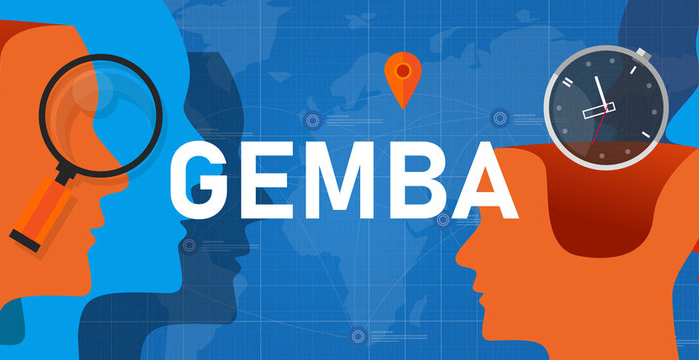 GEMBA Walk Software